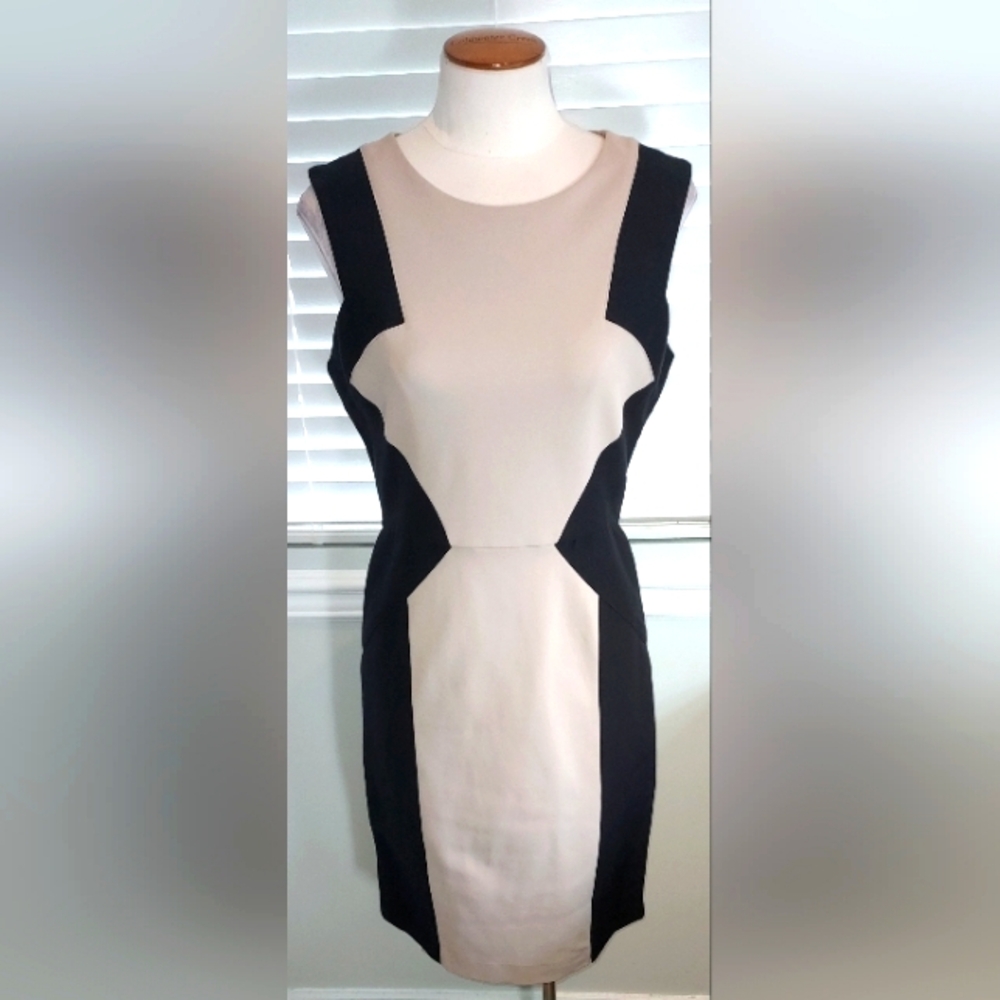 BCBGMAXAZRIA Round Neck Soychai/Black Color Evelyn Dress Size 8 NWT